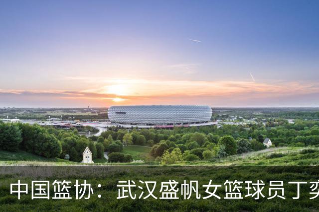 中国篮协：武汉盛帆女篮球员丁奕可停赛八场