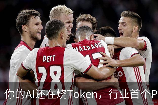 你的AI还在烧Token，行业首个Pro Agent已经开始赚钱了