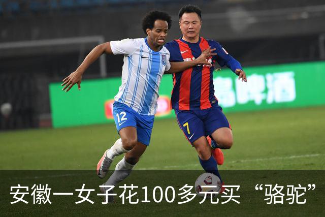 安徽一女子花100多元买“骆驼”冲锋衣，收到货一看，logo竟是一头咧着嘴笑的驴！有人质疑这是擦边，商家：商标已注册，不要只看图片外观