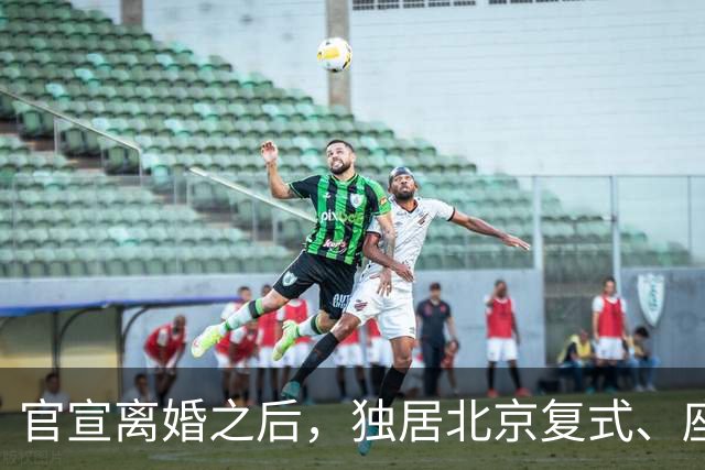 官宣离婚之后，独居北京复式、座驾奔驰大 G 的李小冉，私下日子过得有多惬意