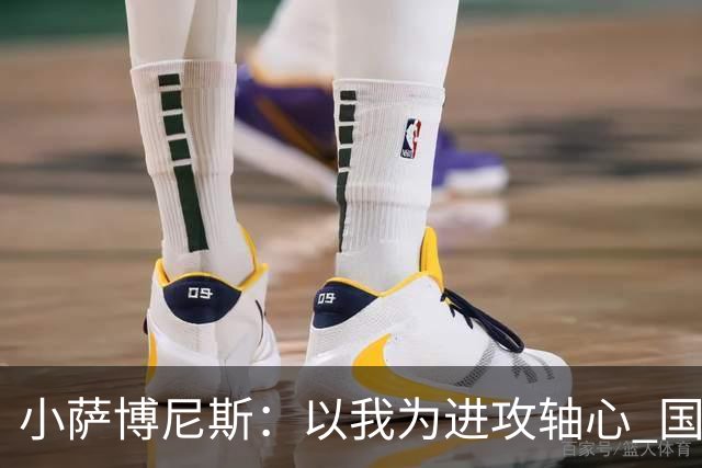 小萨博尼斯：以我为进攻轴心 国王才能发挥最佳水平