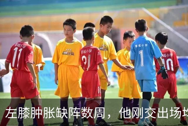 左膝肿胀缺阵数周，他刚交出场均19.5分就倒下