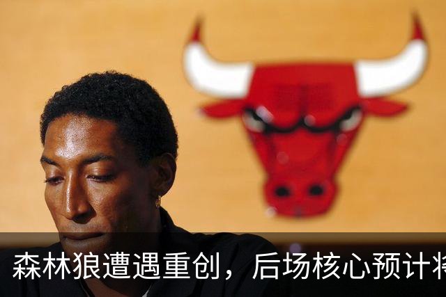 森林狼遭遇重创，后场核心预计将缺席两个月的时间？