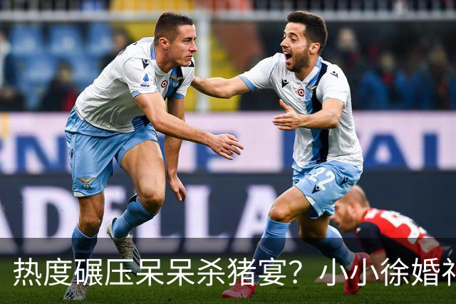 热度碾压呆呆杀猪宴？小小徐婚礼现场人山人海，文旅消防紧急到场维持秩序