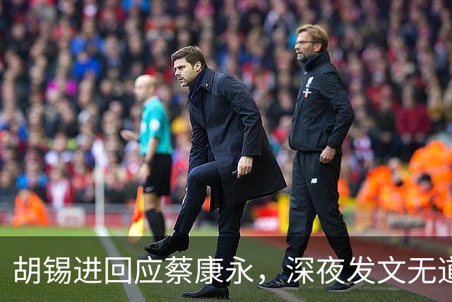 胡锡进回应蔡康永，深夜发文无道歉态度不软，依旧不说我是中国人