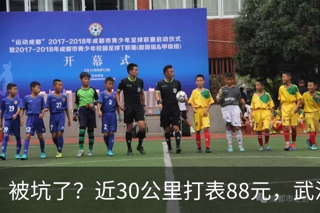 被坑了？近30公里打表88元，武汉乘客晒打车发票，对比网约车不到40元，网友：其实不是出租车贵，是网约车太卷